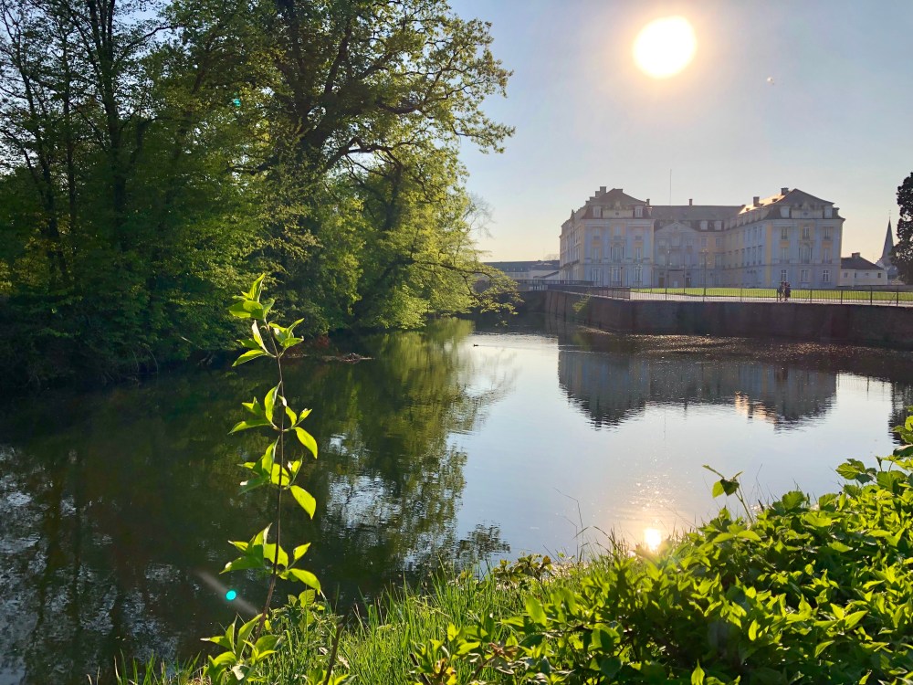 EB6EA500-2459-496C-B1B5-B2826C245781