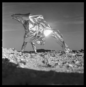 Photo : Lothar Wolleh, © Oliver Wolleh, Berlin