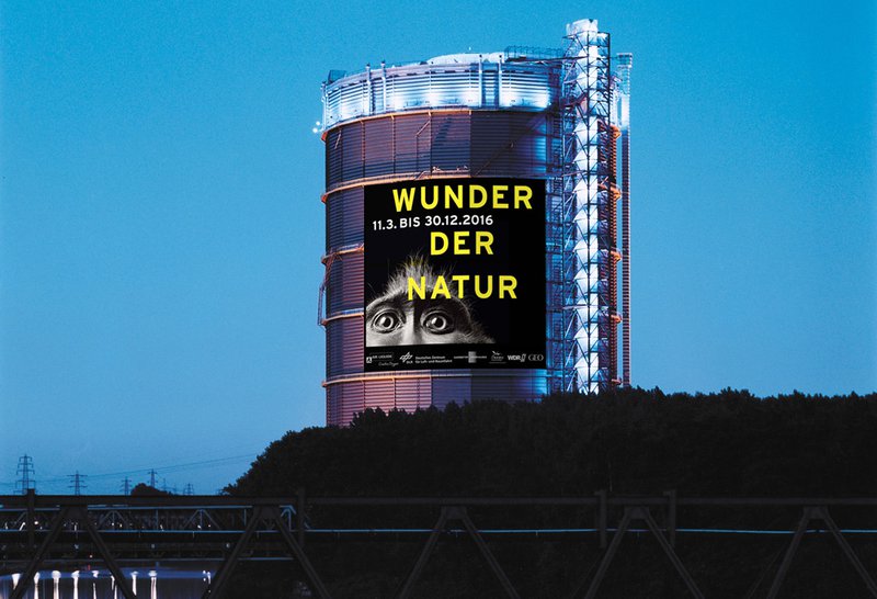 csm_Montage_Megaposter_Wunder-der-Natur_Thomas-Wolf_f5dffcdbf5