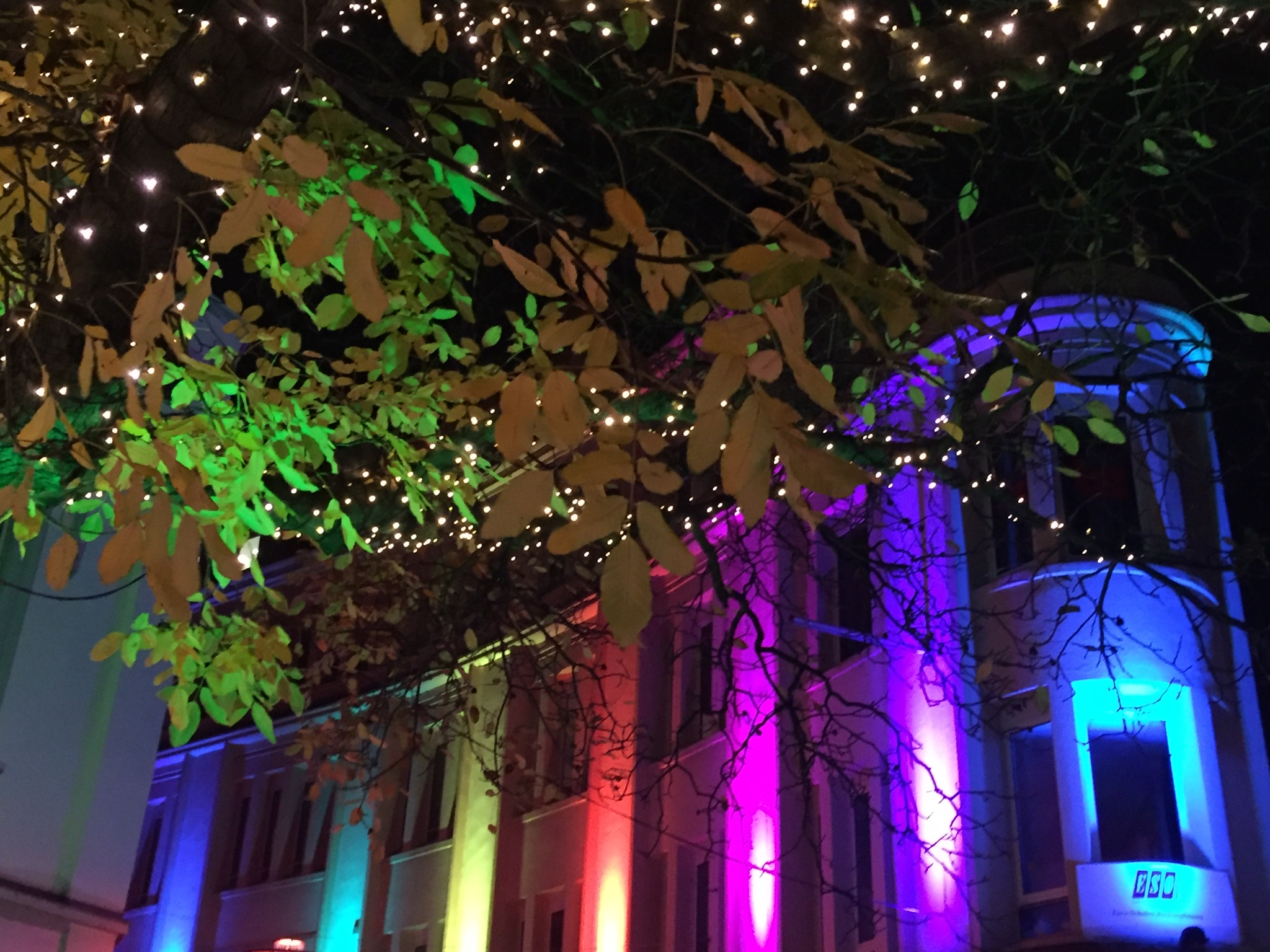 29F5B6F9-B3DC-4DA7-BD8B-46B8B4F665CA