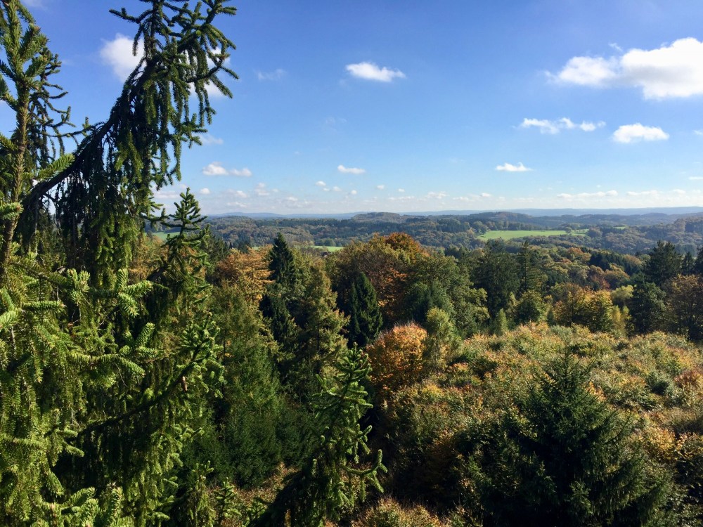 8D18171F-6473-49AC-B4A1-D569F39CAA44