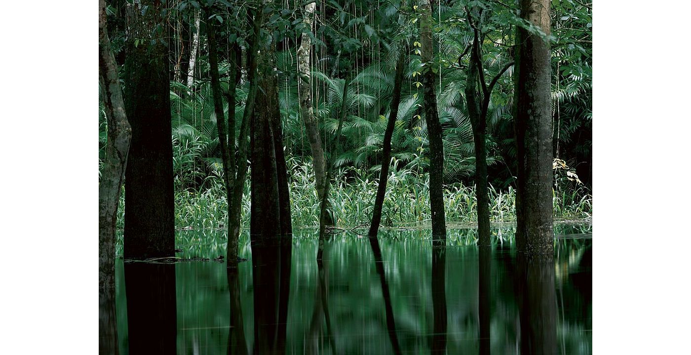 E5DD2535-F3A1-443F-BD77-EEDA34327DF6