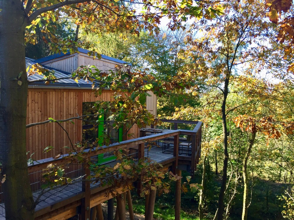 F63E65FC-9FA6-4B91-B5A9-B35A82F5F088