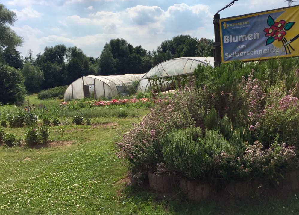 85544910-0579-41D2-BAD3-08D7557626FB