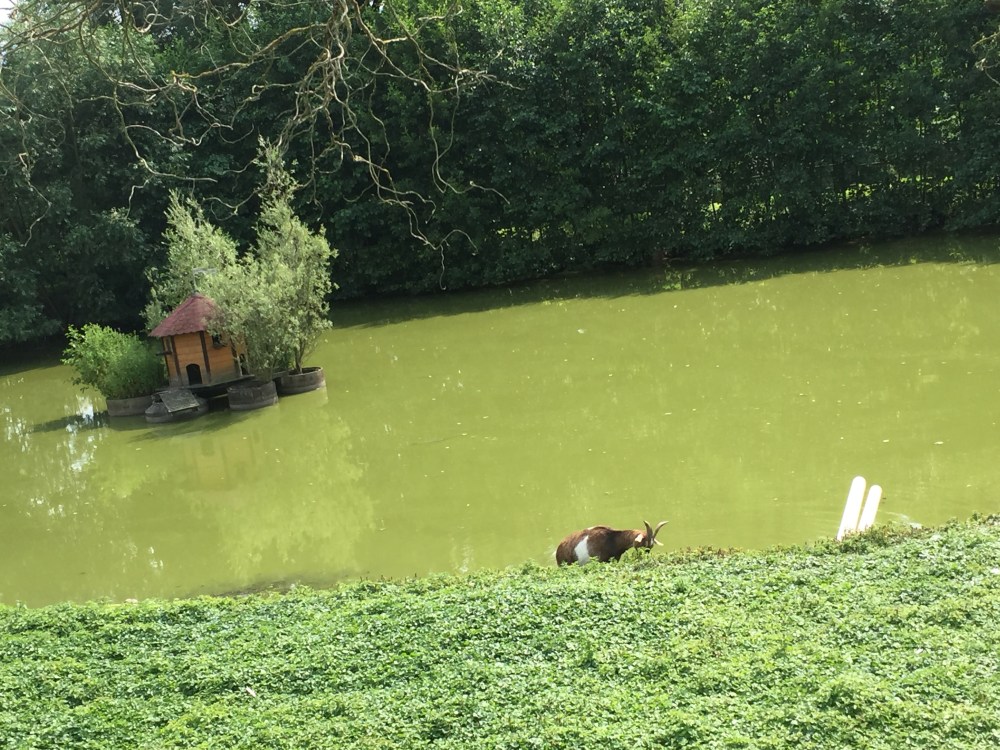 88971B20-942E-4470-B6F9-6D32F6ED74DB