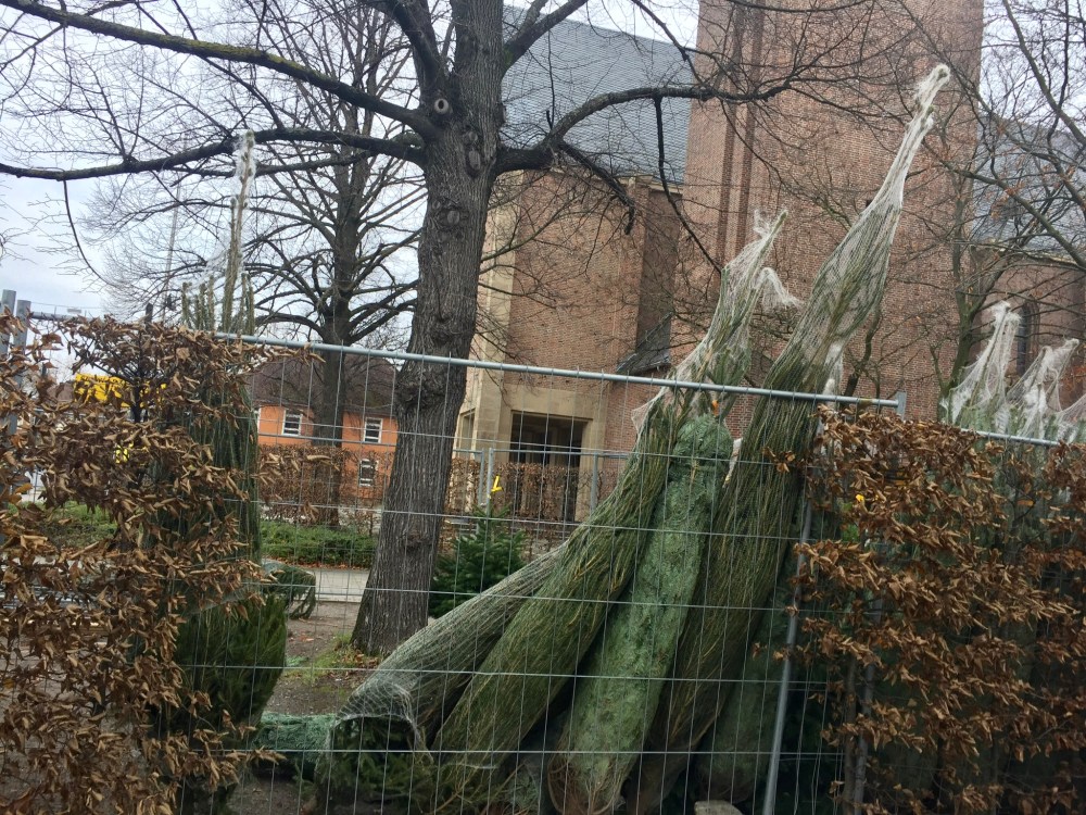 2355C98A-BD33-46C2-9FDD-7A448A581992