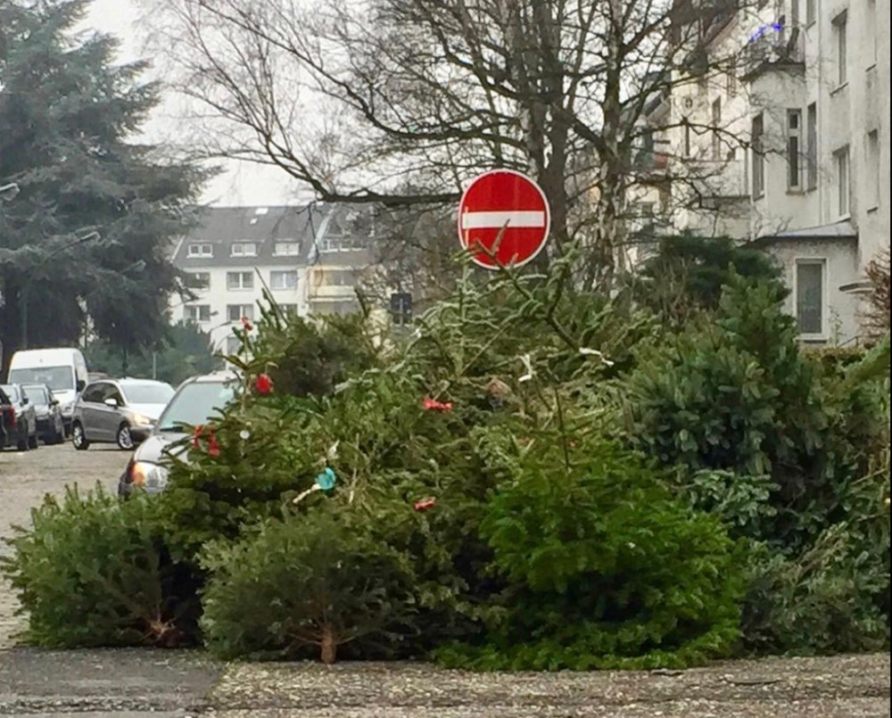 313442C6-111D-4D2C-9D98-242E0C2A041E