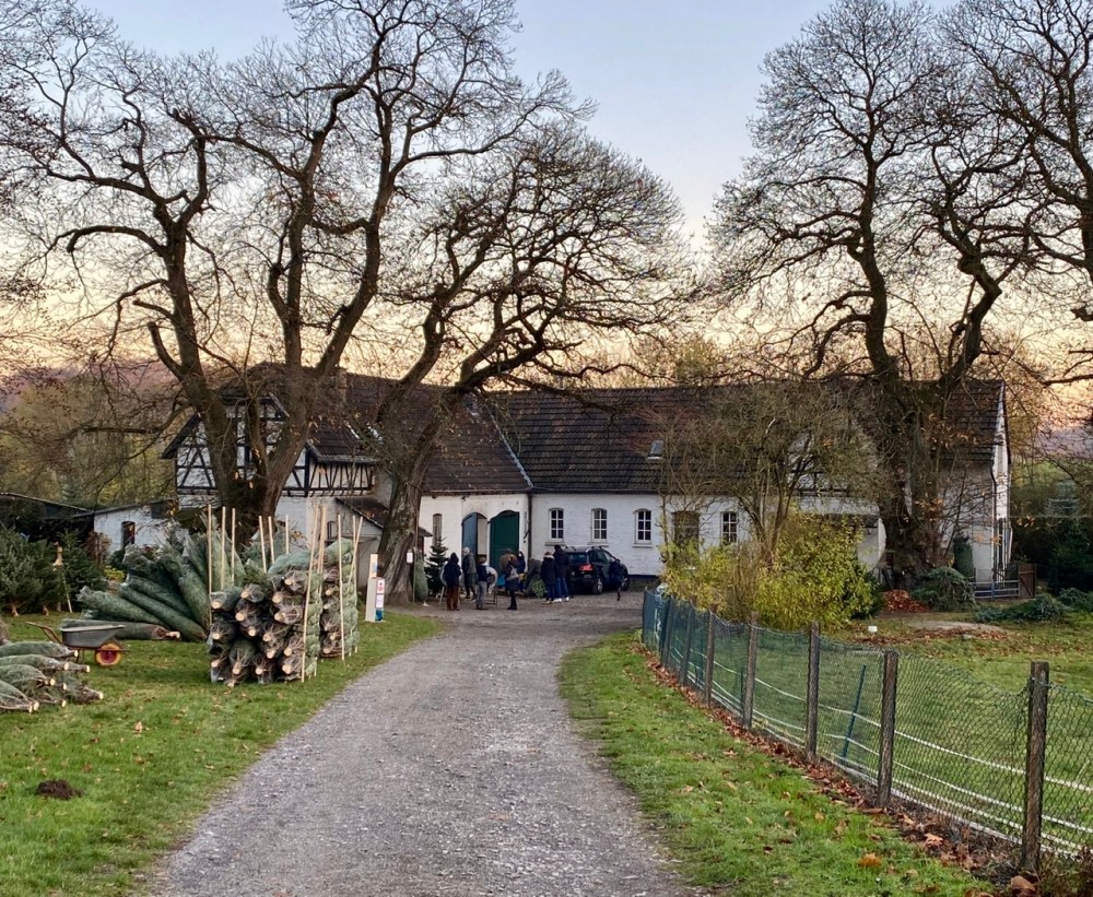 3E2A70F8-5F92-48D9-97C4-80967EA97597