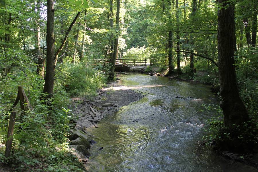 csm_283_0_13_07_08_Bild_7_Naturerlebnis_D_C3_BCssel_Wildgehege_Kreis_20Mettmann_d339638286