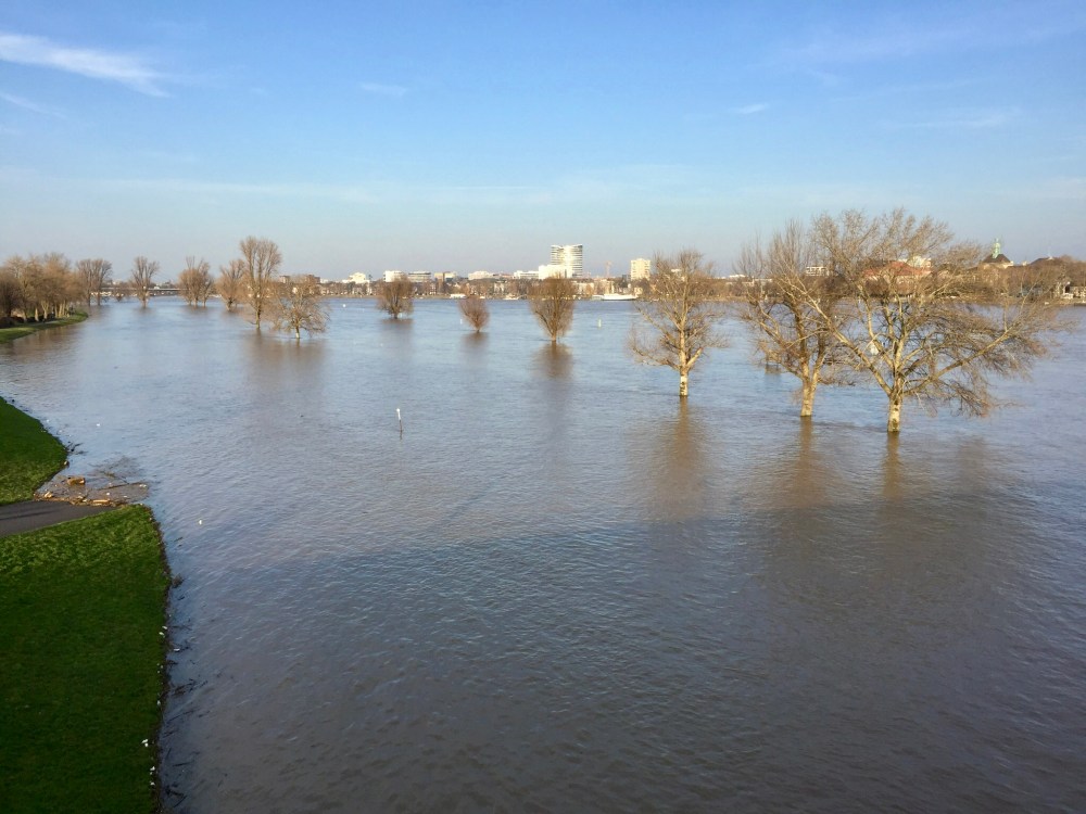 E8E1C8F6-F053-48F5-8814-9C5D393B824B