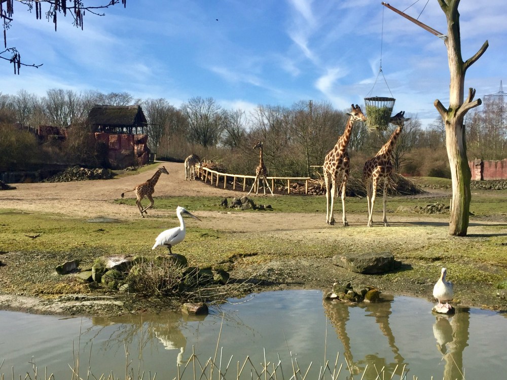 2FD86236-8B89-421A-BE45-8B98A68D4491