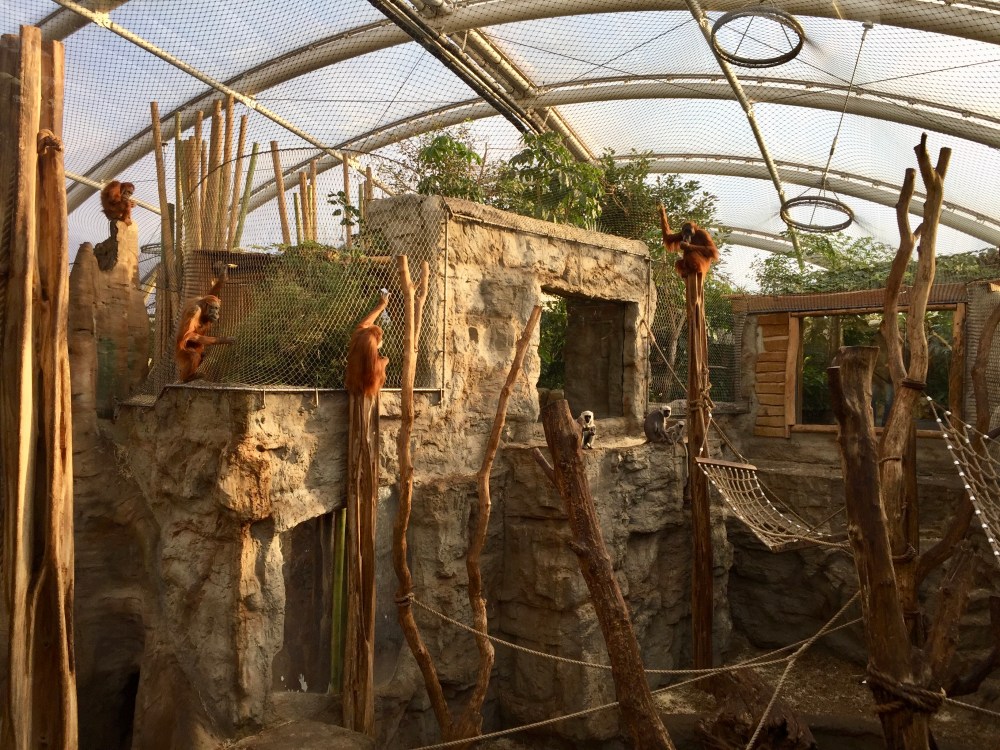 7D173258-77A1-4C8F-A91D-43915D548414