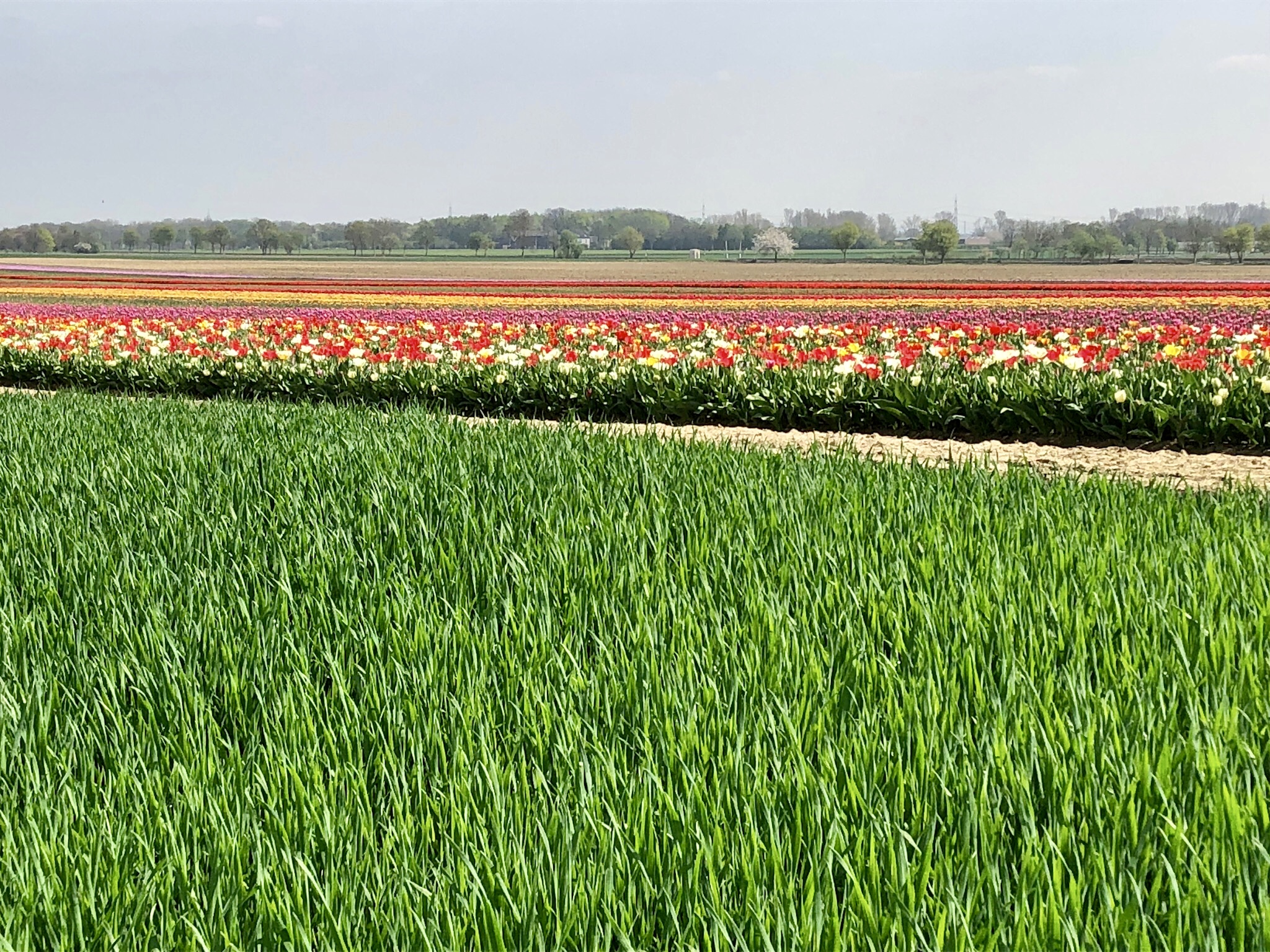 A2099EC6-6FD4-4086-B92A-B55751080D31