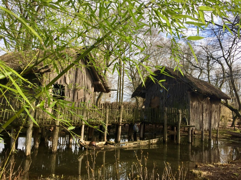 B17A93F4-3A74-426F-8C79-E9A439707171