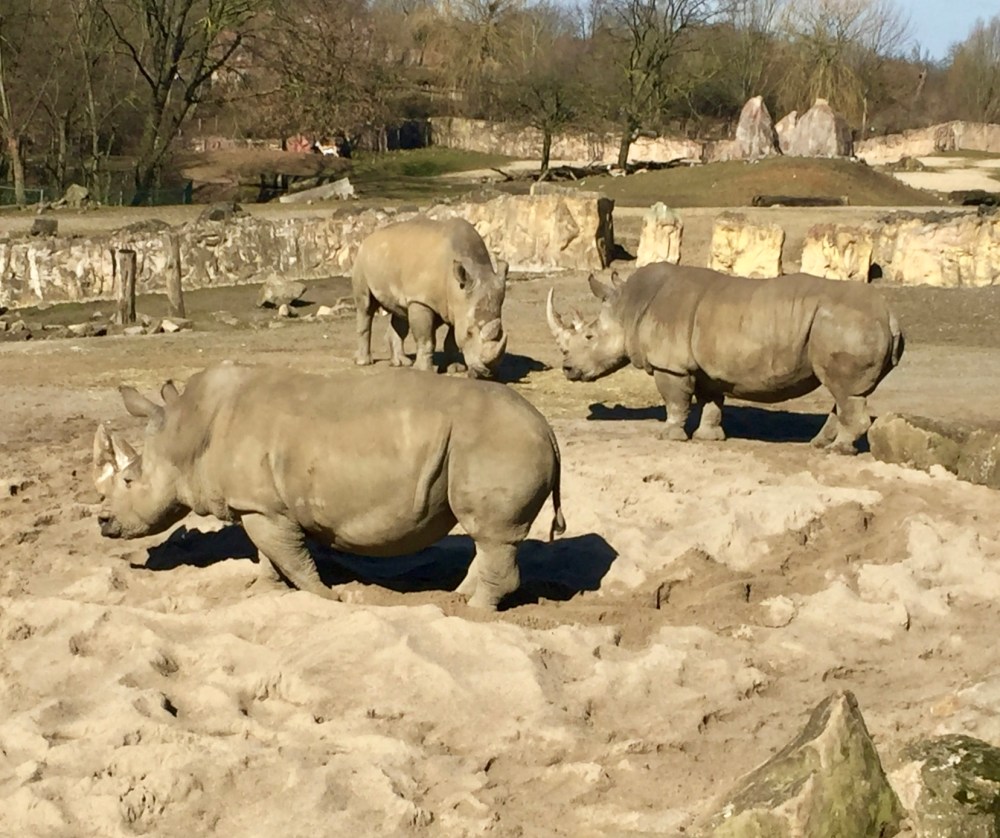 C21092E6-54AD-4788-A2F9-BB75A644D177