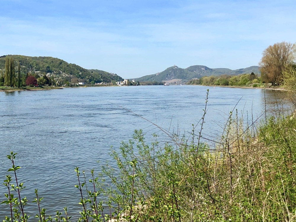 1B28D1D0-3090-4F41-AB3A-87C03664A1DD