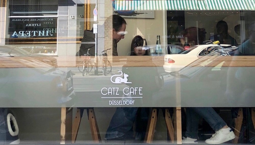 3C4A1363-1F5A-4CD5-884F-7EF61C8CF8D6