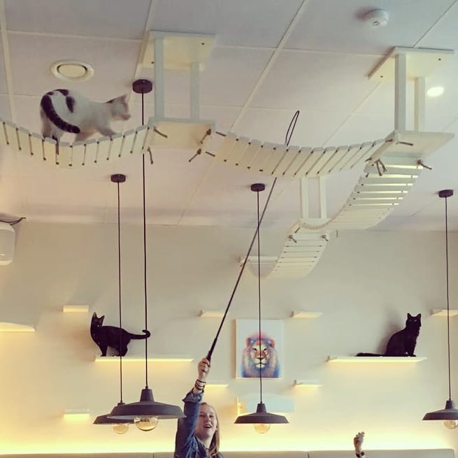 7DE029AB-AB9C-4BC9-96BD-6A3FD9DCAD04