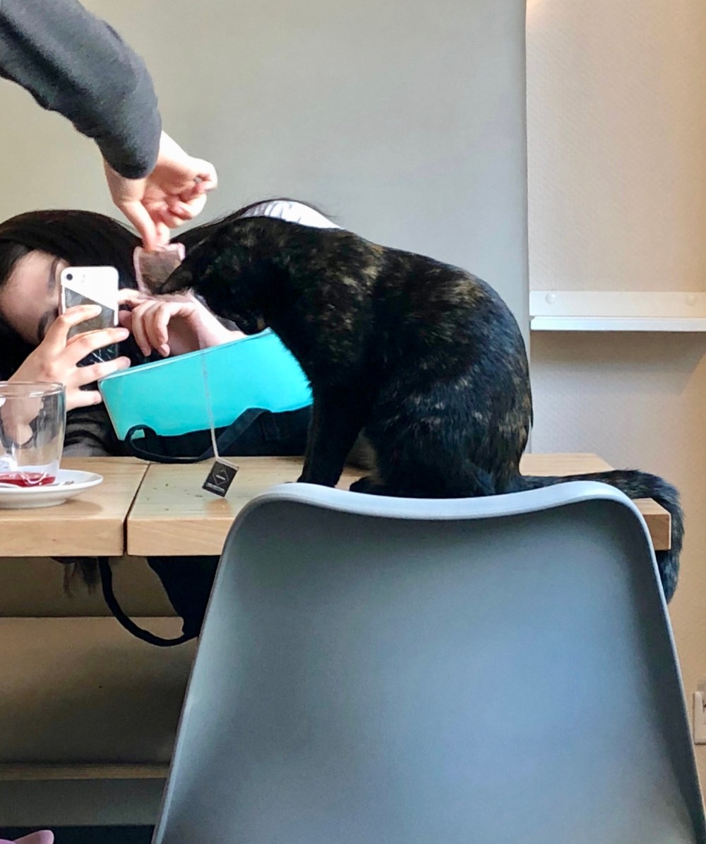 7E1C69F1-335A-4CE0-838F-75E70FBC5B43