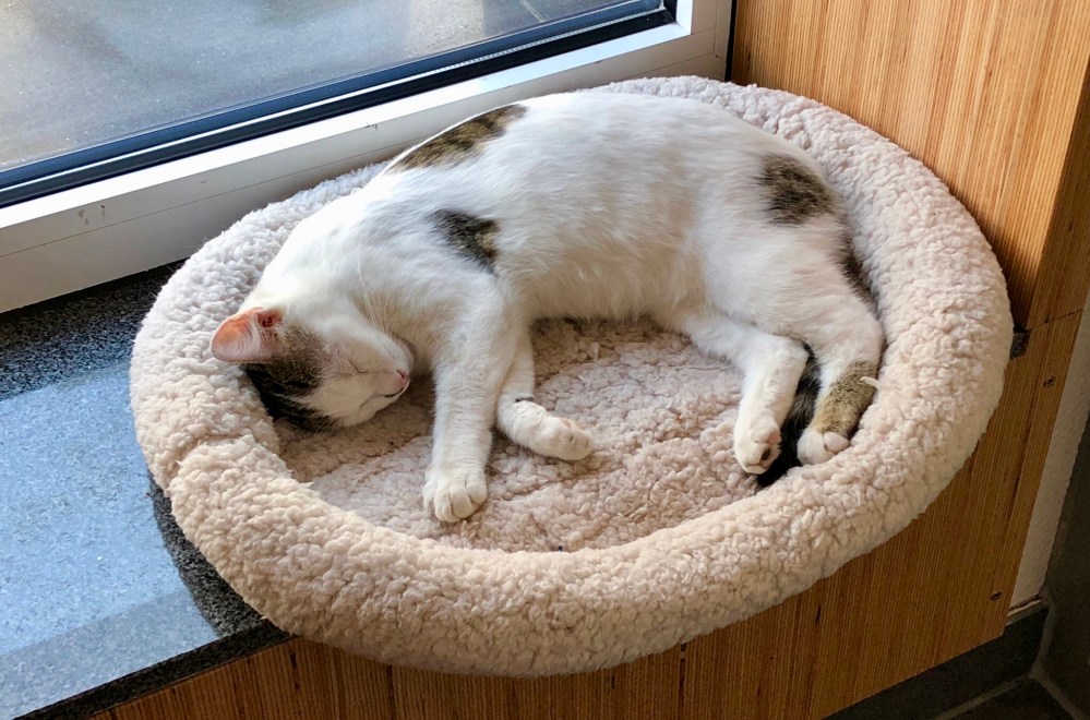 BE25C4D7-B138-460D-90C2-41A5119BA933