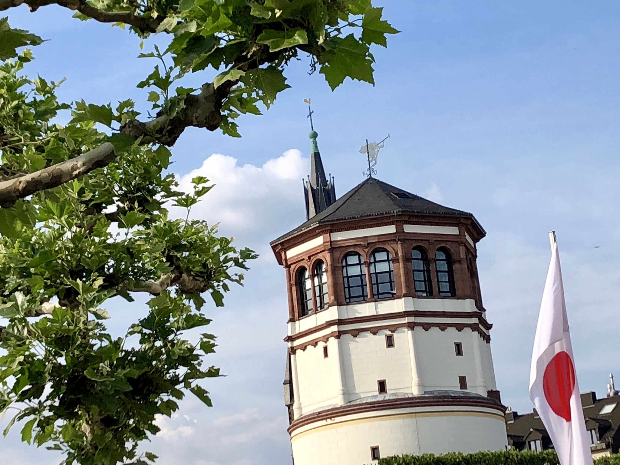 F7325725-EC0D-453A-95A5-3361411FB7EA