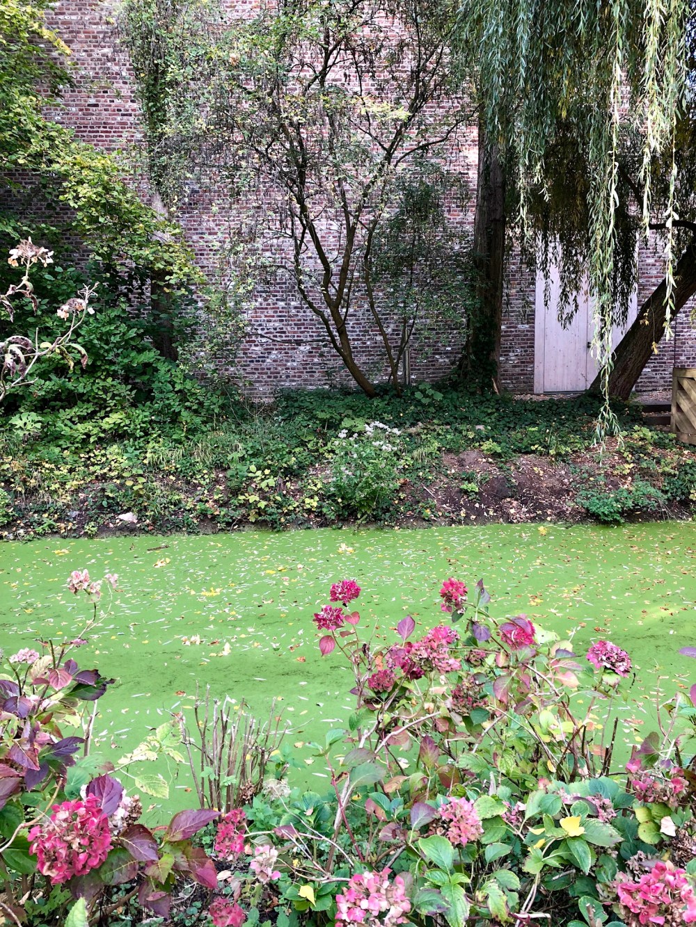 04DCEB63-6903-419F-9A4D-652B5CDDAA07