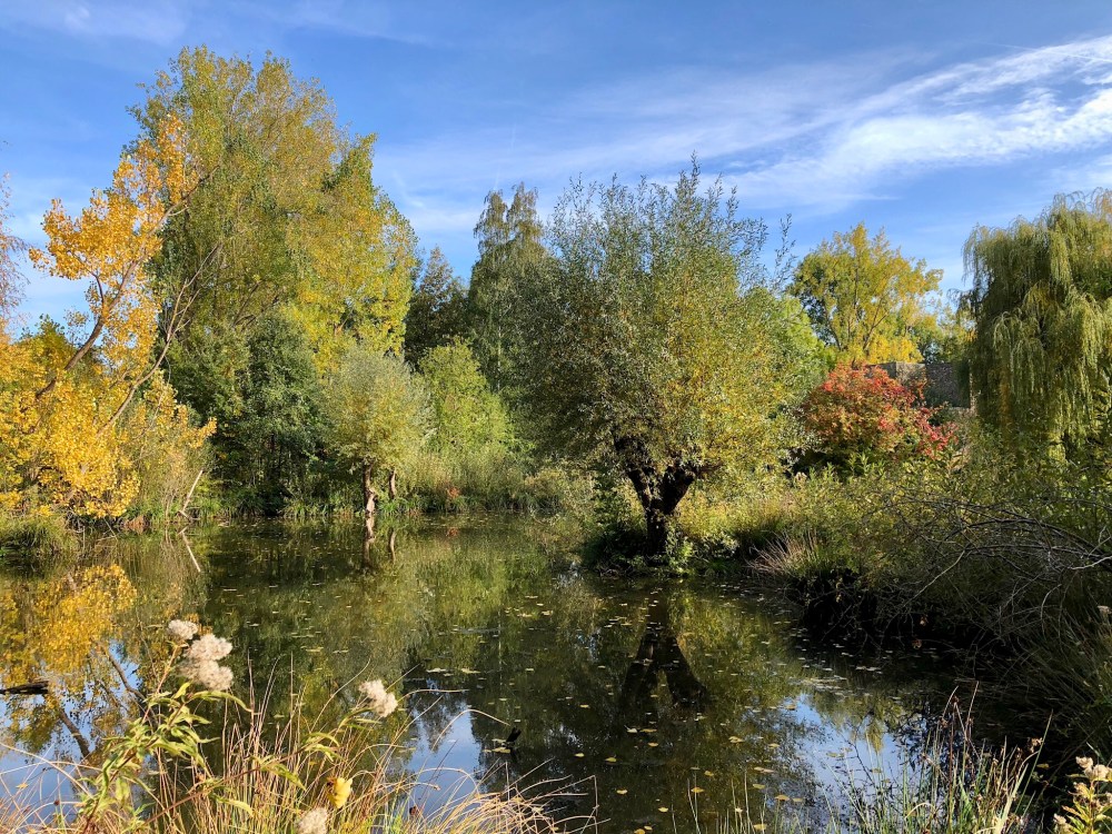 49AC5CDA-B0CC-40C0-8796-8265EF467502