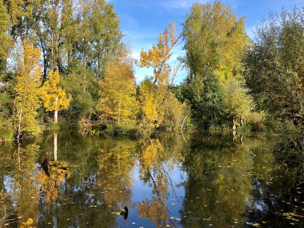 6F82E4F6-06DE-4449-98B5-1AAF1160D6B4