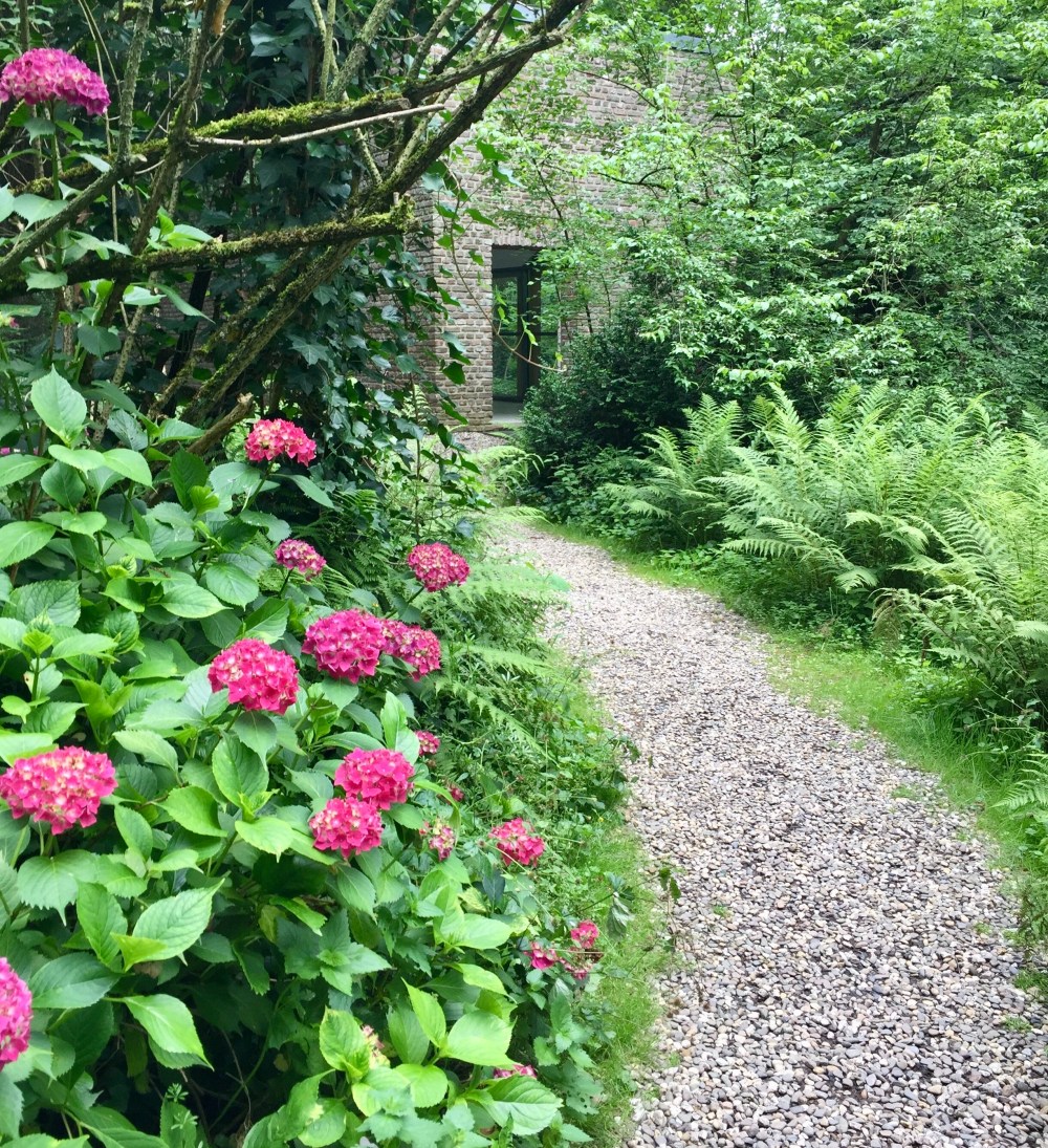 9ACAAA20-AFD7-42E8-8BEE-5A2D918F8961