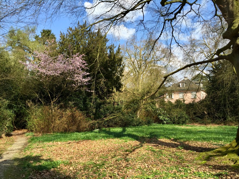 B5735977-CFE3-4415-8093-0FB570178036