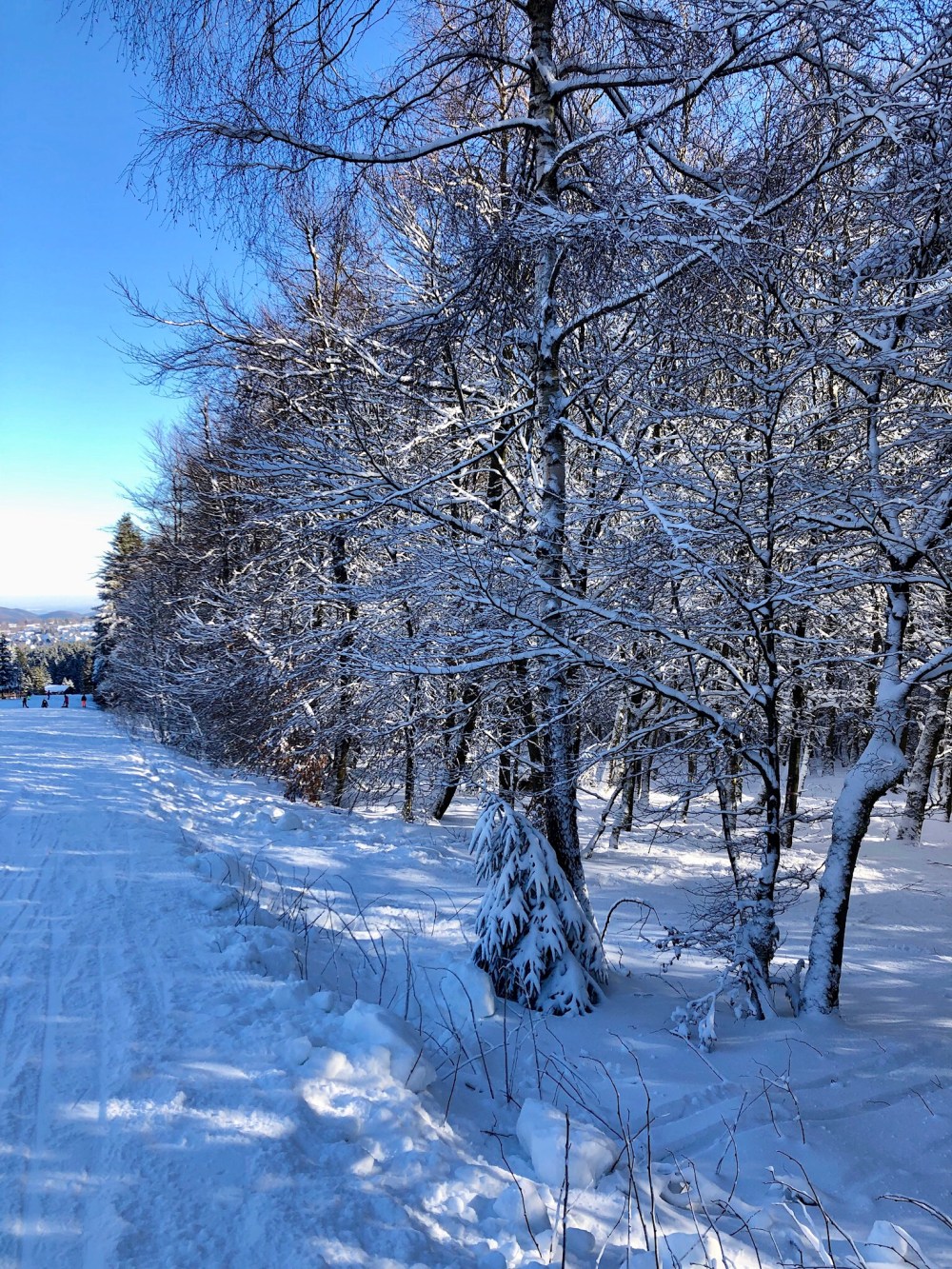 94b169f3-f5d7-4559-9e45-317e283d8570