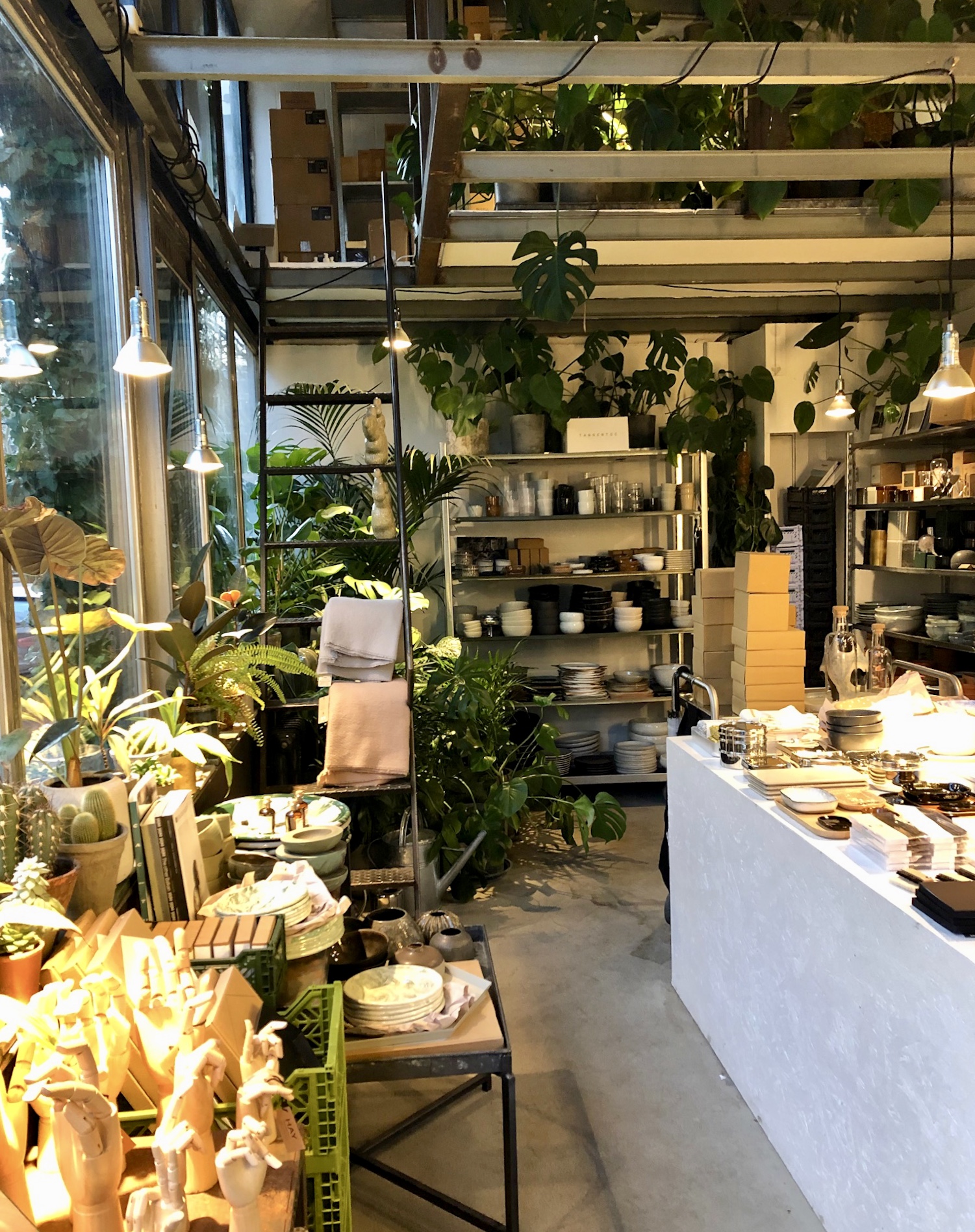 B27569C5-D1C0-4B1F-9AF3-DA3FEB2C101F