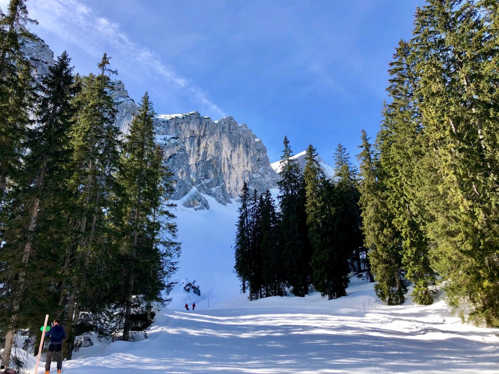 FF6D2633-F8B5-4F02-9DEC-660ED1638ABB