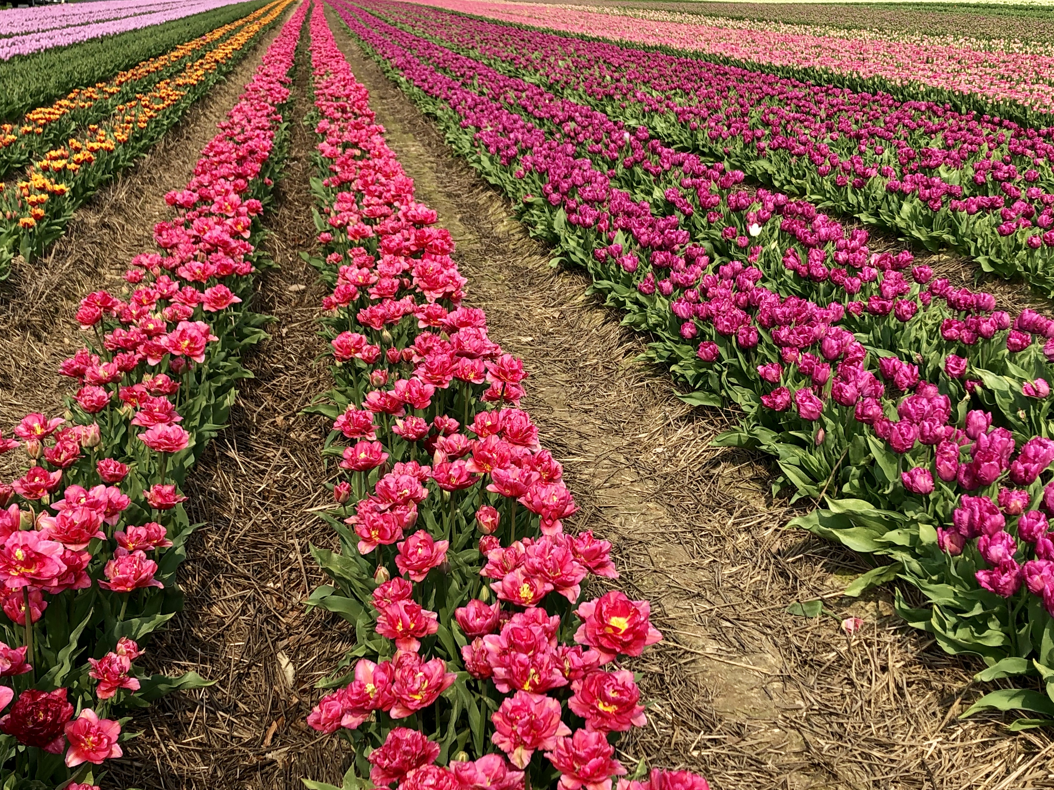 36BDB5FB-236C-46C9-89A5-3F422ADBEBBE