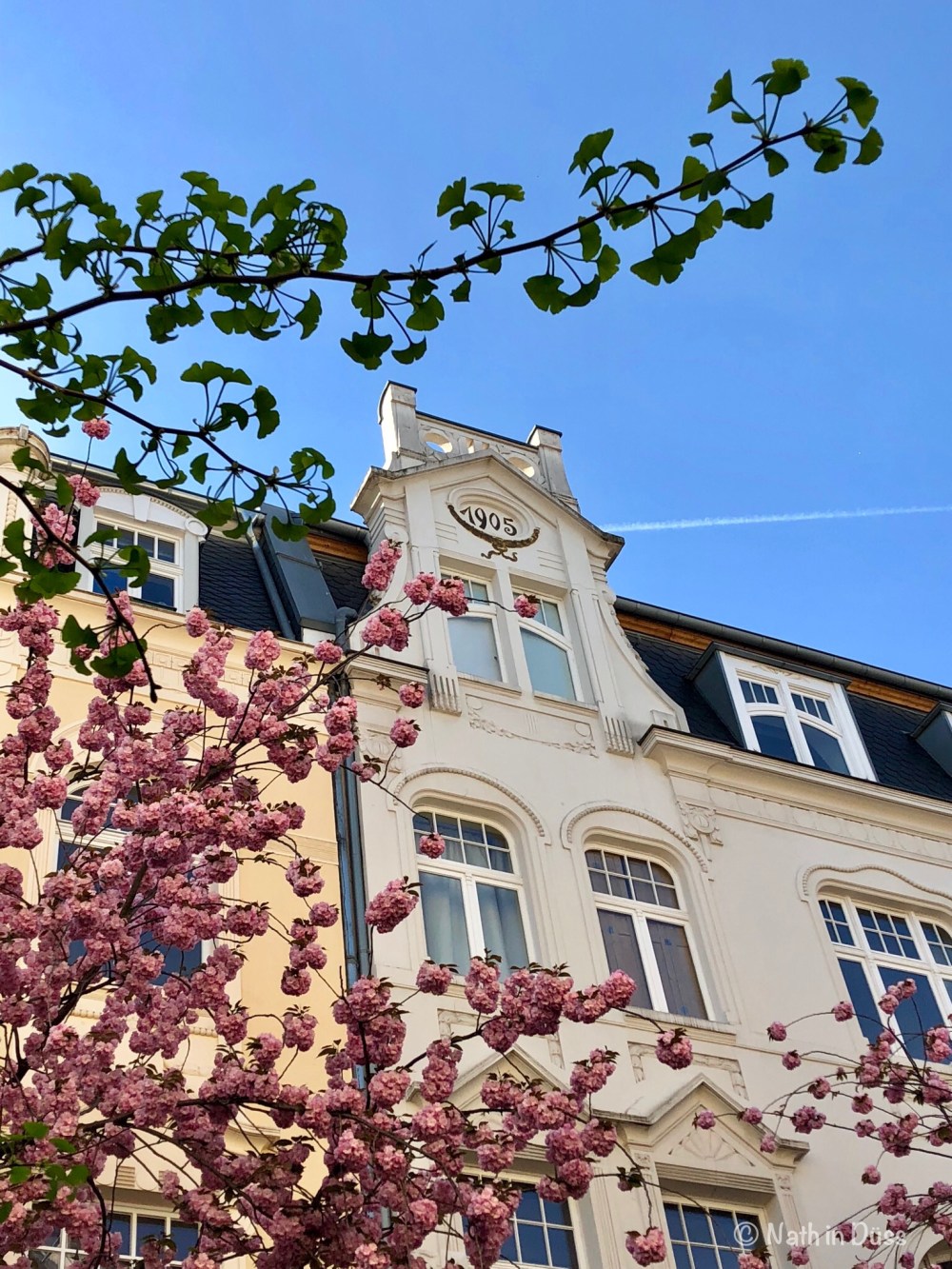 B5EC40D9-329E-43F4-A51C-53434329B8AD