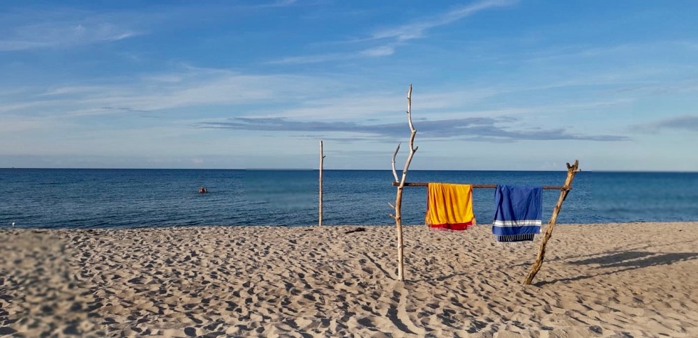 PHOTO-2019-08-17-00-13-47