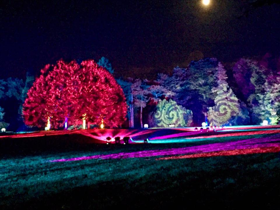 21272226_1972656419685918_6758023356050863161_n