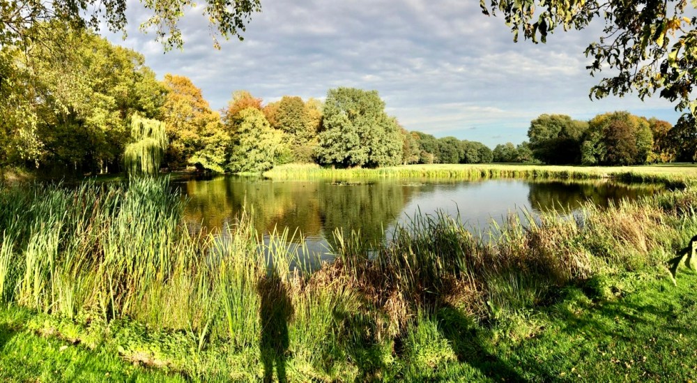 0BFEAEBA-A87B-4458-B067-E7654436F9AD