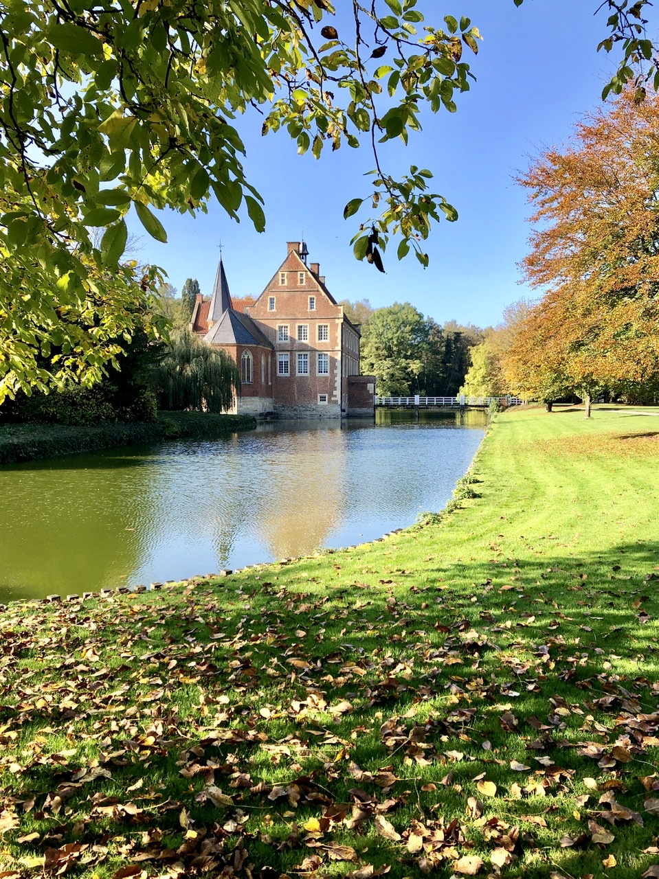 E36201E6-25A6-4E53-BA1B-98129C816AB2