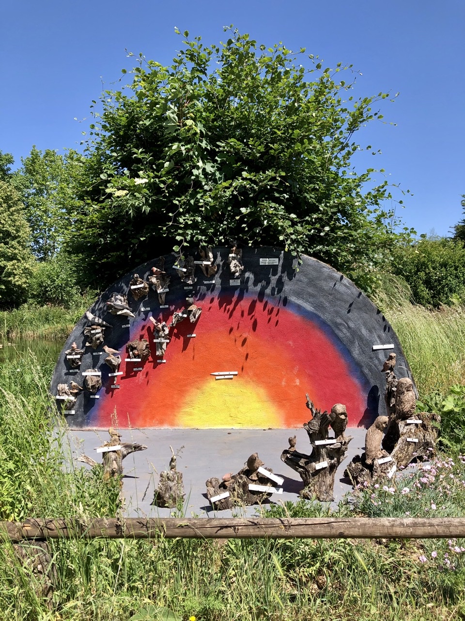 315B5472-5A16-4A86-BAF9-E69CB75445E0