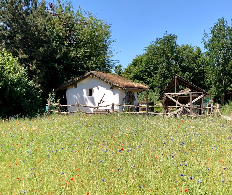 4BEA6F1C-33A5-4C72-A71F-39CBA48ABEF2