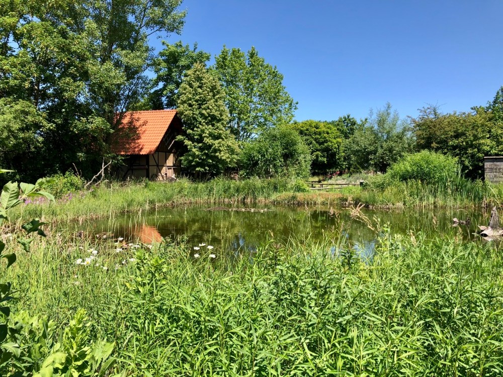 4FA15EF6-BE8D-40A9-91ED-BD9FFF15B1D0