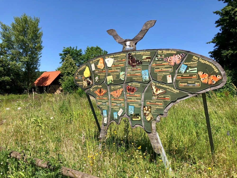 A51BD4F0-90BD-4406-B6AC-FBD5C1CB7DDC