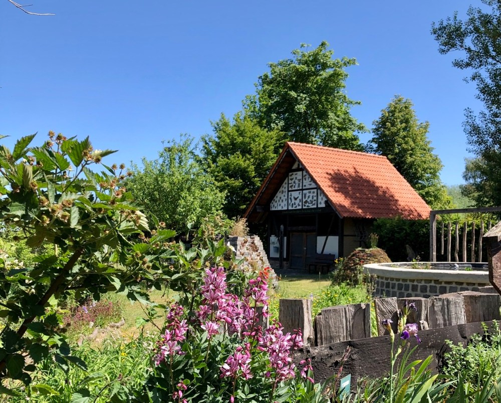 B29CEE2B-FA45-4DA7-9901-66B172FC17DD