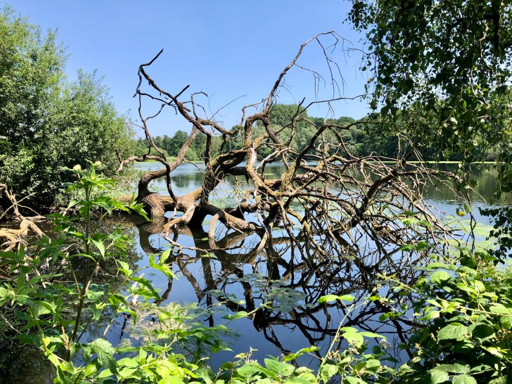 070A20B5-A569-4DA7-943B-667FF0C5271D