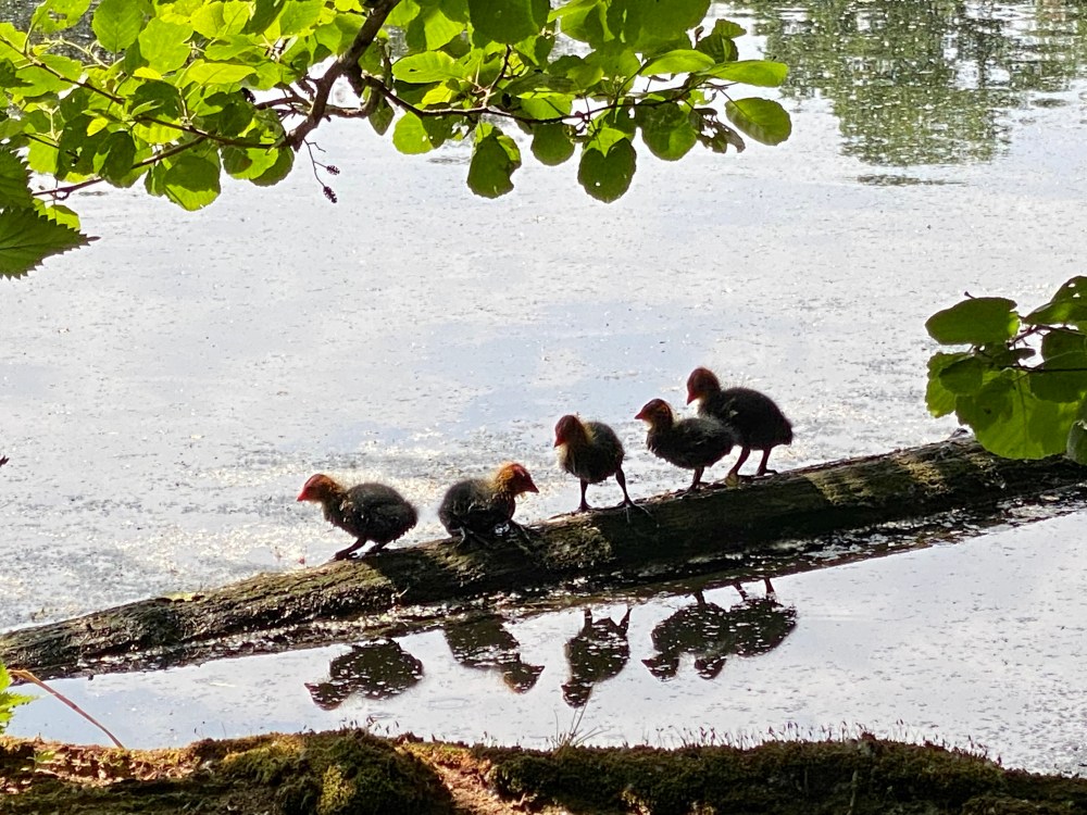 0AAC7726-0F82-4FD7-8D25-8F5401A24F29