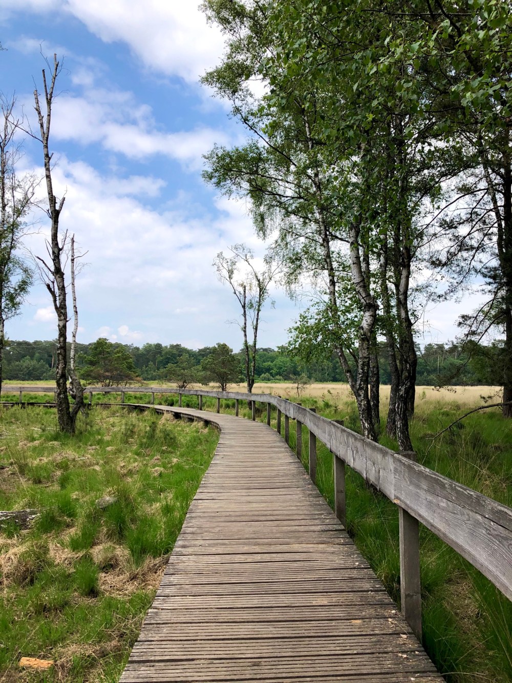 0F6656E8-C704-4FD8-9379-5650B9A03371