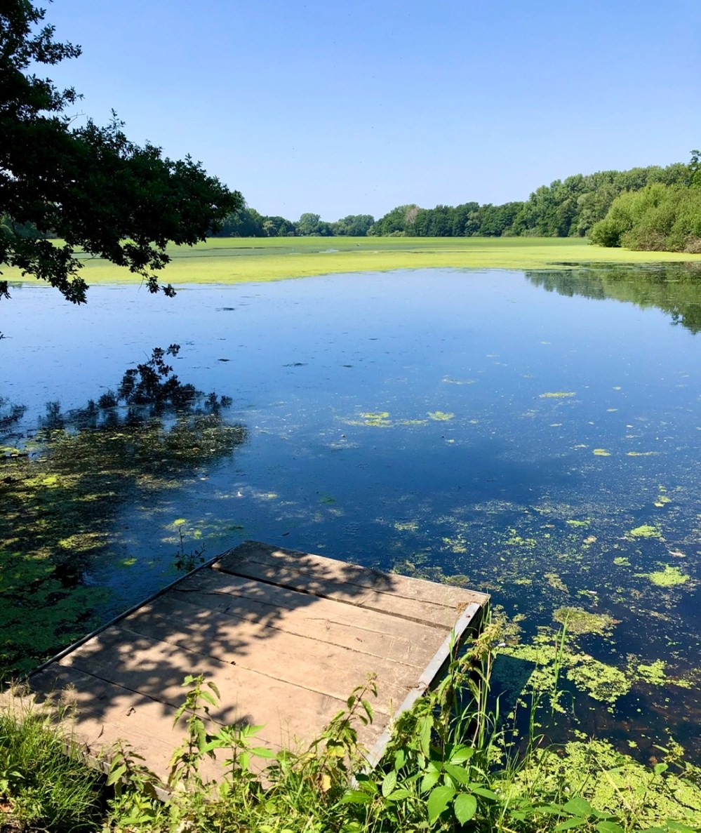 21A44CB2-E834-4E28-8432-8FAC39B3DFC7