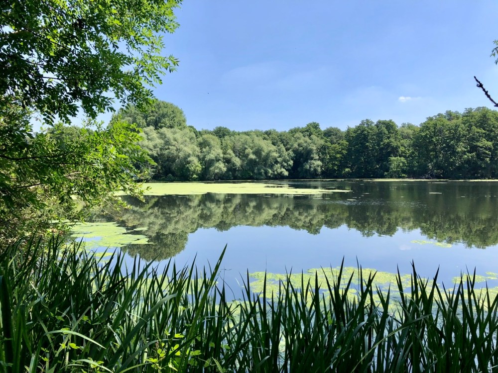 2EBF88BE-745F-4835-8A0B-B5CCA2FE9FA2