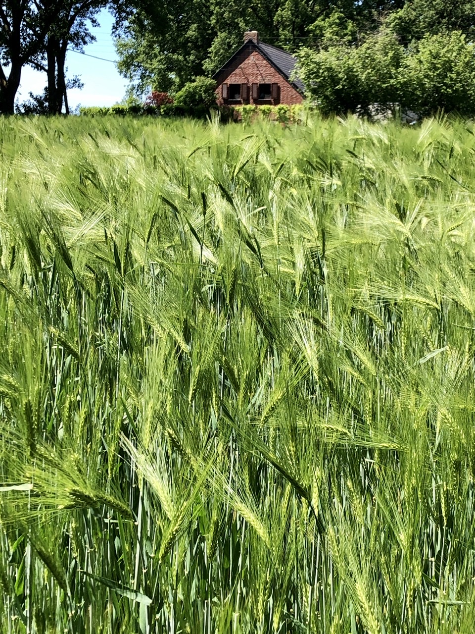 340BDDFF-7065-4F70-B692-D5F579BE290F